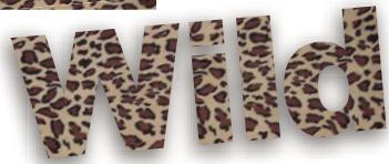 ADOBE PHOTOSHOP ELEMENTS 8 MAC - Création et utilisation d'un texte masqué - 2