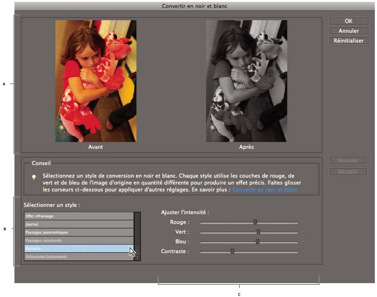 ADOBE PHOTOSHOP ELEMENTS 8 MAC - Conversion précise des images en noir et blanc - 1