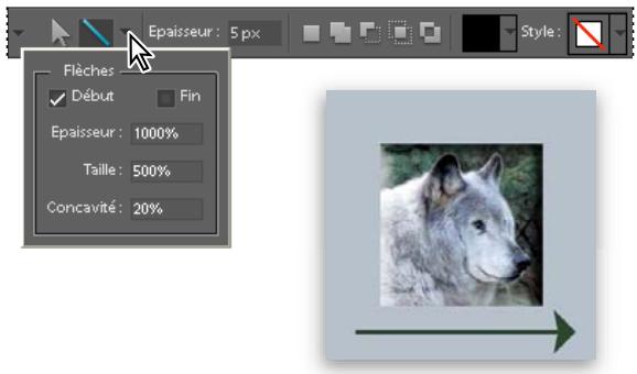 ADOBE PHOTOSHOP ELEMENTS 8 MAC - Dessen d'un trait ou d'une flèche - 1