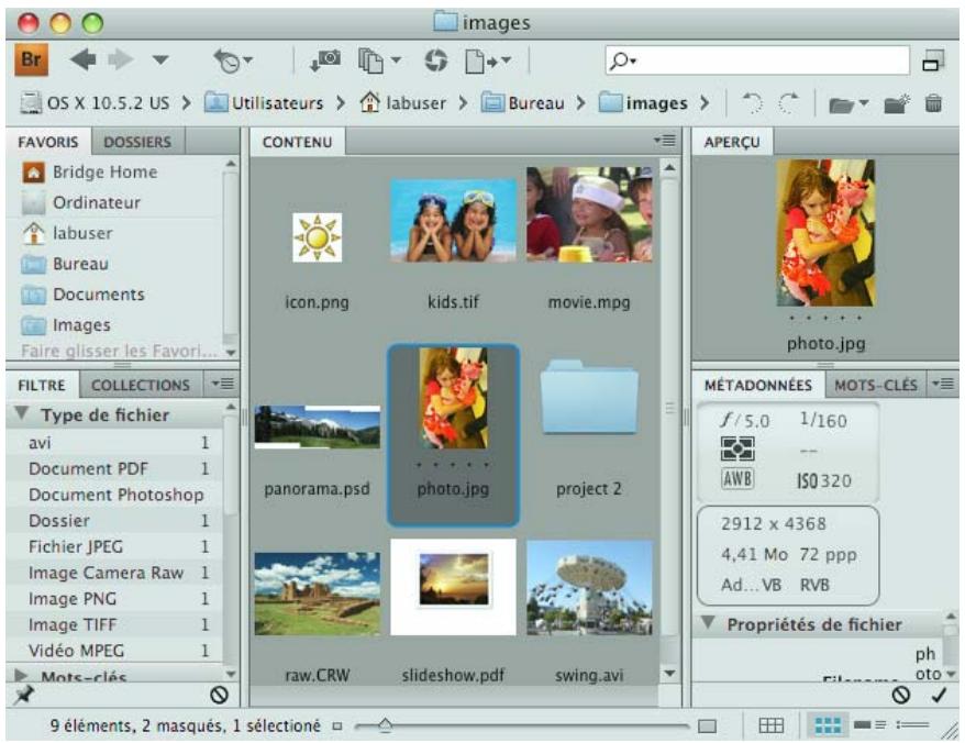 ADOBE PHOTOSHOP ELEMENTS 8 MAC - Téléchargement et organisation des photos - 1
