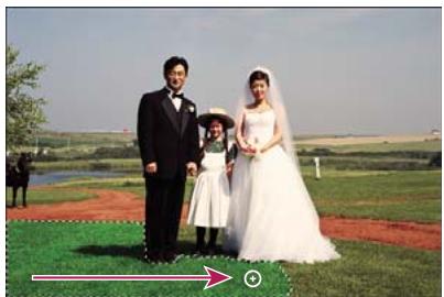 ADOBE PHOTOSHOP ELEMENTS 8 MAC - Réglage de la couleur et de la tonalité à l'aide des formes dynamiques - 1