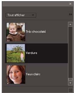 ADOBE PHOTOSHOP ELEMENTS 8 MAC - Réglage de la couleur et de la tonalité à l'aide des formes dynamiques - 2