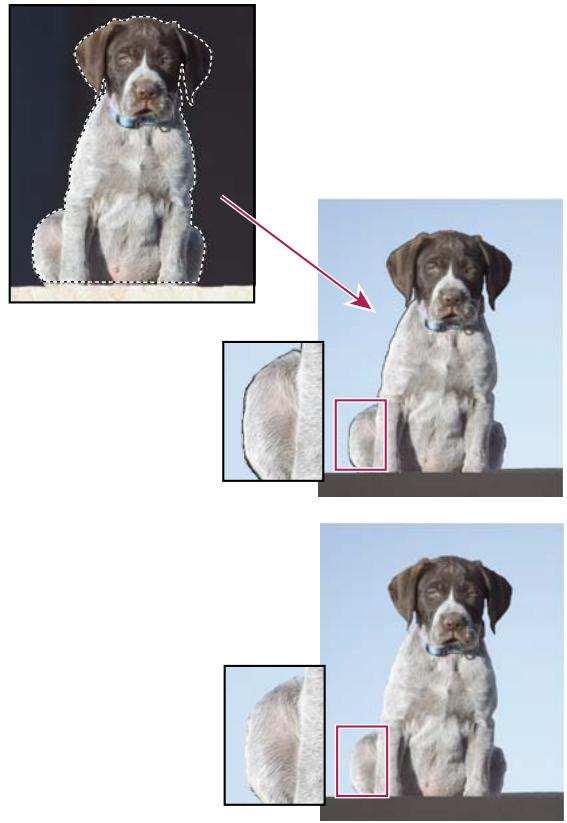 ADOBE PHOTOSHOP ELEMENTS 8 MAC - Suppression de la frange dans une sélection - 1