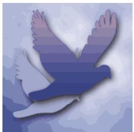 ADOBE PHOTOSHOP ELEMENTS 8 MAC - A propos du tramage - 1