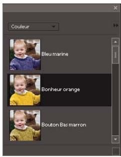 ADOBE PHOTOSHOP ELEMENTS 8 MAC - Réglage de la couleur et de la tonalité à l'aide des formes dynamiques - 4