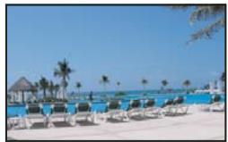 ADOBE PHOTOSHOP ELEMENTS 8 MAC - Collage d'une seLECTION dans une autre - 2