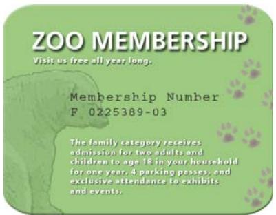 ADOBE PHOTOSHOP ELEMENTS 8 MAC - A propos du texte - 1