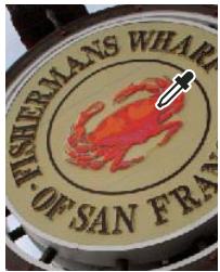 ADOBE PHOTOSHOP ELEMENTS 8 MAC - Ajout d'une couleur au panneau Nuancier - 1