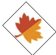 ADOBE PHOTOSHOP ELEMENTS 8 MAC - Application d'une rotation ou d'une symétrie à un élément - 6