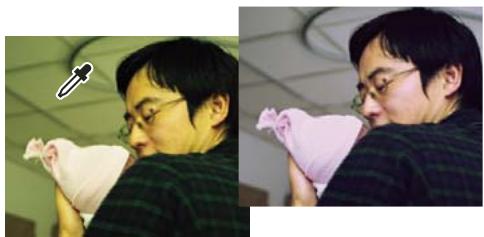 ADOBE PHOTOSHOP ELEMENTS 8 MAC - Suppression automatique d'une dominante couleur - 1