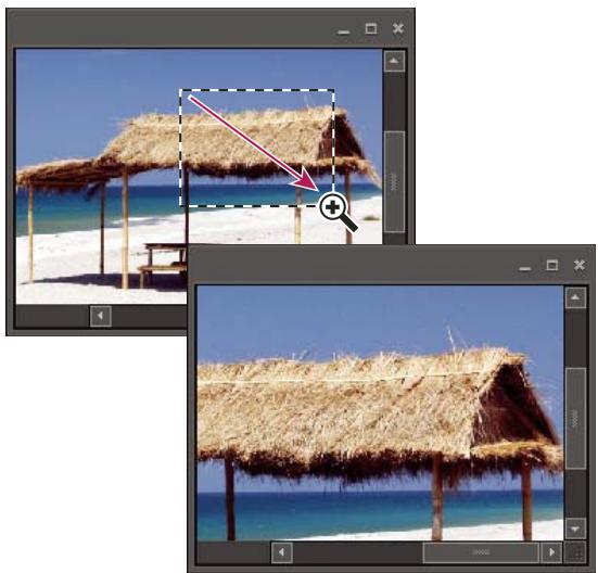 ADOBE PHOTOSHOP ELEMENTS 8 MAC - Agrandissement ou réduction de l'image - 1