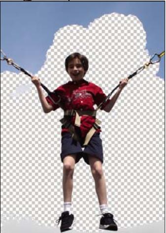 ADOBE PHOTOSHOP ELEMENTS 8 MAC - Utilisation de l'outil Gomme magique - 3