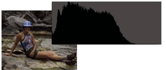 ADOBE PHOTOSHOP ELEMENTS 8 MAC - A propos des historiammes - 4