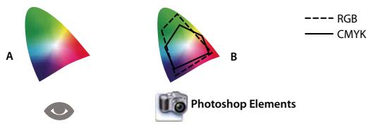 ADOBE PHOTOSHOP ELEMENTS 8 MAC - A propos de la gestion des couleurs - 1