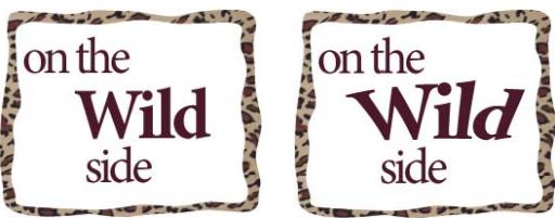 ADOBE PHOTOSHOP ELEMENTS 8 MAC - Déformation de texte - 1