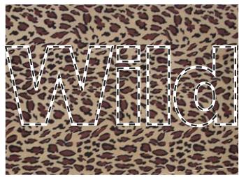 ADOBE PHOTOSHOP ELEMENTS 8 MAC - Création et utilisation d'un texte masqué - 1