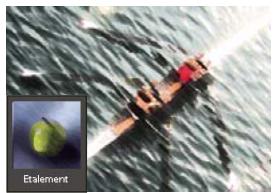 ADOBE PHOTOSHOP ELEMENTS 8 MAC - A propos des filtres - 4