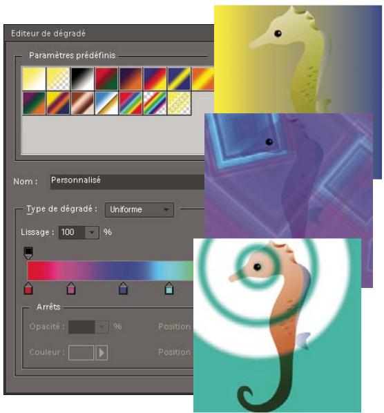 ADOBE PHOTOSHOP ELEMENTS 8 MAC - A propos des dégradés - 1