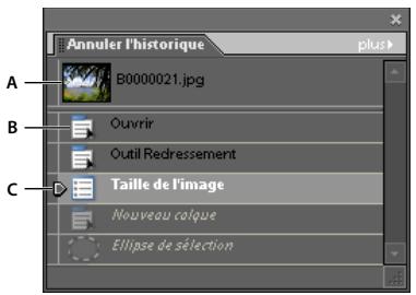 ADOBE PHOTOSHOP ELEMENTS 8 MAC - Utilisation du panneau Annuler l'historique - 1
