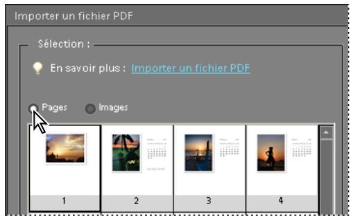 ADOBE PHOTOSHOP ELEMENTS 8 MAC - Ouverture d'un fichier PDF - 1