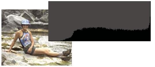 ADOBE PHOTOSHOP ELEMENTS 8 MAC - A propos des historiammes - 2