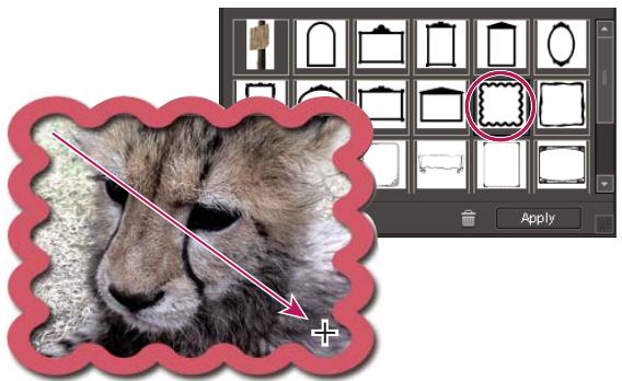 ADOBE PHOTOSHOP ELEMENTS 8 MAC - Dessin d'une forme personalisée - 1