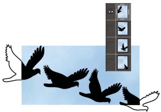 ADOBE PHOTOSHOP ELEMENTS 8 MAC - A propos du format GIF animé - 1