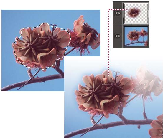 ADOBE PHOTOSHOP ELEMENTS 8 MAC - Création d'un calque à partir d'une portion de calque - 1