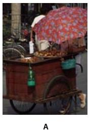 ADOBE PHOTOSHOP ELEMENTS 8 MAC - Réglage de la saturation et de la teinte - 1