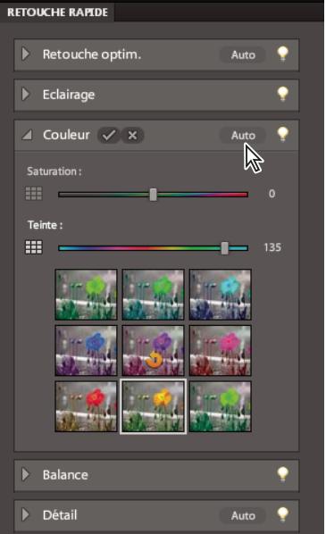 ADOBE PHOTOSHOP ELEMENTS 8 MAC - Aperçu en mode Retouche rapide - 2