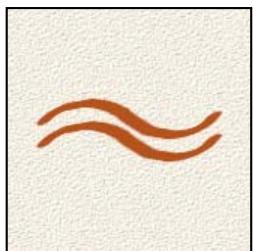 ADOBE PHOTOSHOP ELEMENTS 8 MAC - A propos des options de forme - 10