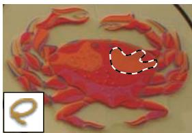 ADOBE PHOTOSHOP ELEMENTS 8 MAC - A propos des outils de selection - 3