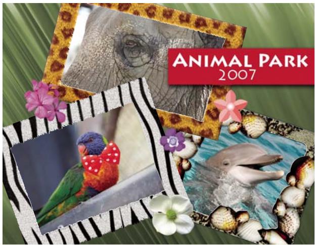 ADOBE PHOTOSHOP ELEMENTS 8 MAC - Creation et partage de projets photo - 2