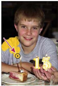 ADOBE PHOTOSHOP ELEMENTS 8 MAC - Réglage de la couleur et de la tonalité à l'aide des formes dynamiques - 3