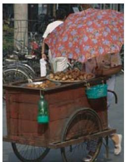 ADOBE PHOTOSHOP ELEMENTS 8 MAC - Réglage de la saturation de zones isolées - 1