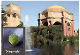 ADOBE PHOTOSHOP ELEMENTS 8 MAC - A propos des filtres - 5