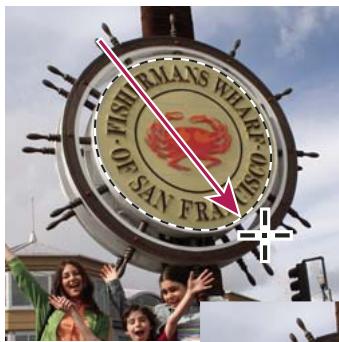 ADOBE PHOTOSHOP ELEMENTS 8 MAC - A propos des sélections - 1