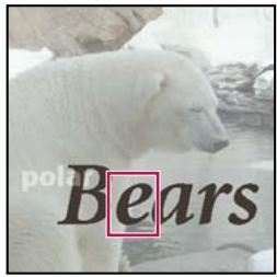 ADOBE PHOTOSHOP ELEMENTS 8 MAC - Options de l'outil Texte - 1