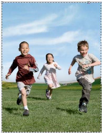 ADOBE PHOTOSHOP ELEMENTS 8 MAC - Recomposition - 2