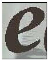 ADOBE PHOTOSHOP ELEMENTS 8 MAC - Options de l'outil Texte - 2