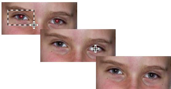 ADOBE PHOTOSHOP ELEMENTS 8 MAC - Suppression précise de l'effet yeux rouges - 1