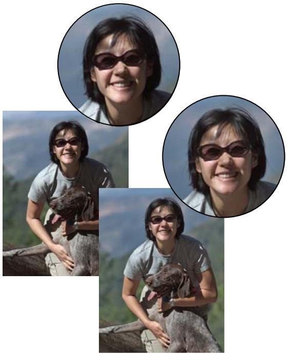 ADOBE PHOTOSHOP ELEMENTS 8 MAC - Amélioration des détails des tons fonçés et des tons clairs - 1