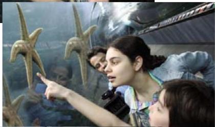 ADOBE PHOTOSHOP ELEMENTS 8 MAC - Duplication des images ou des zones d'une image - 2