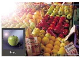 ADOBE PHOTOSHOP ELEMENTS 8 MAC - A propos des filtres - 1