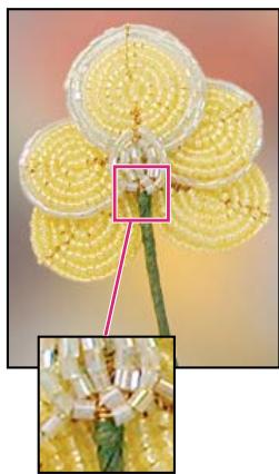 ADOBE PHOTOSHOP ELEMENTS 8 MAC - A propos de la taille et de la résolution d'image - 2