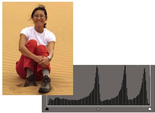 ADOBE PHOTOSHOP ELEMENTS 8 MAC - Réglage des tons fonçés et de la luminosité à l'aide des niveaux - 2