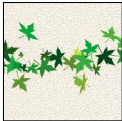 ADOBE PHOTOSHOP ELEMENTS 8 MAC - A propos des options de forme - 5