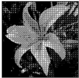 ADOBE PHOTOSHOP ELEMENTS 8 MAC - Conversion d'une image en mode Bitmap - 3