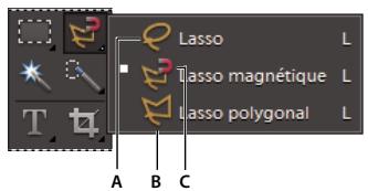 ADOBE PHOTOSHOP ELEMENTS 9 - Utilisation de l'outil lasso magnétique - 1