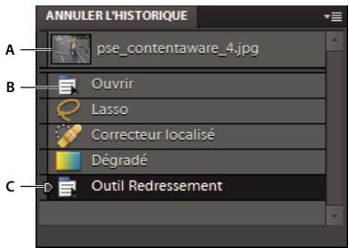 ADOBE PHOTOSHOP ELEMENTS 9 - Utilisation du panneau annuler l'historique pendant l'édition - 1